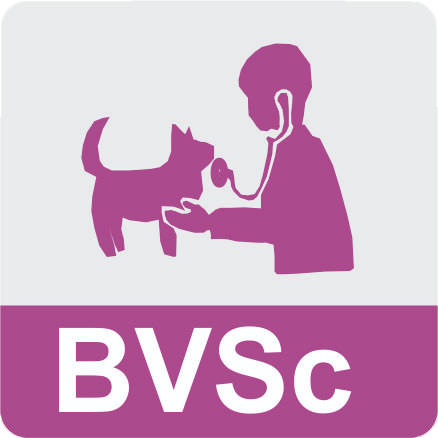 BVSc